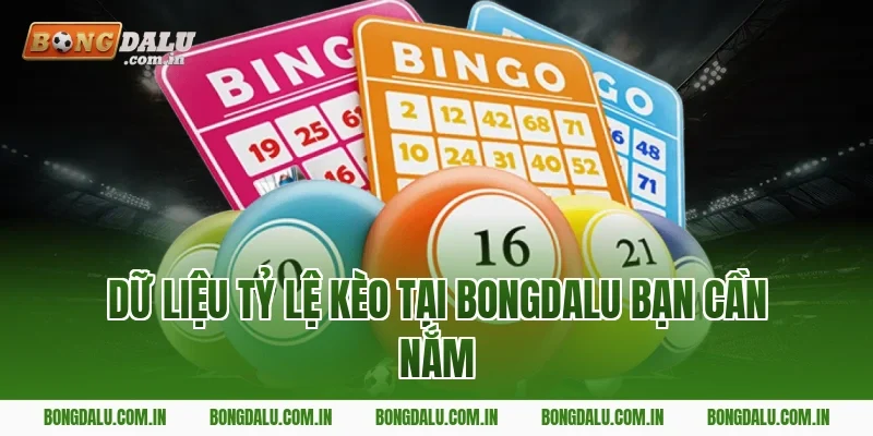 Dữ liệu kèo trên Bongdalu bạn cần nắm