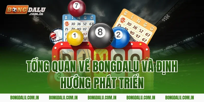 Tổng quan về chuyên trang thể thao Bongdalu